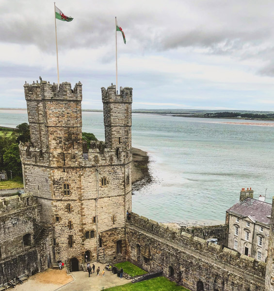 Regional focus events - Wales