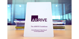 image of the arrive guidelines