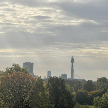 image of BT Tower with MNDA Flag