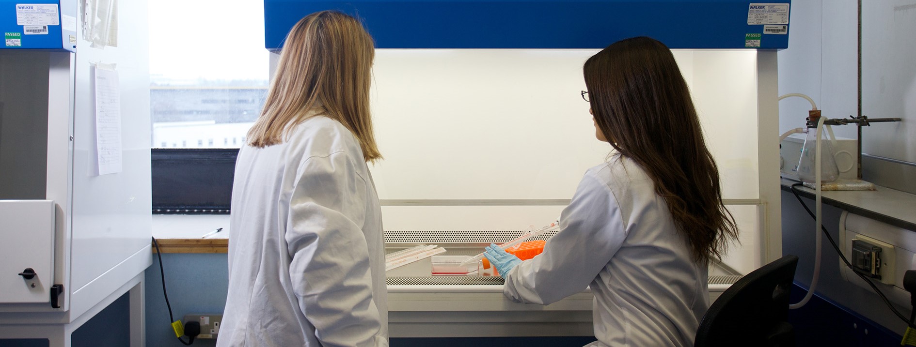 two scientists in a laboratory