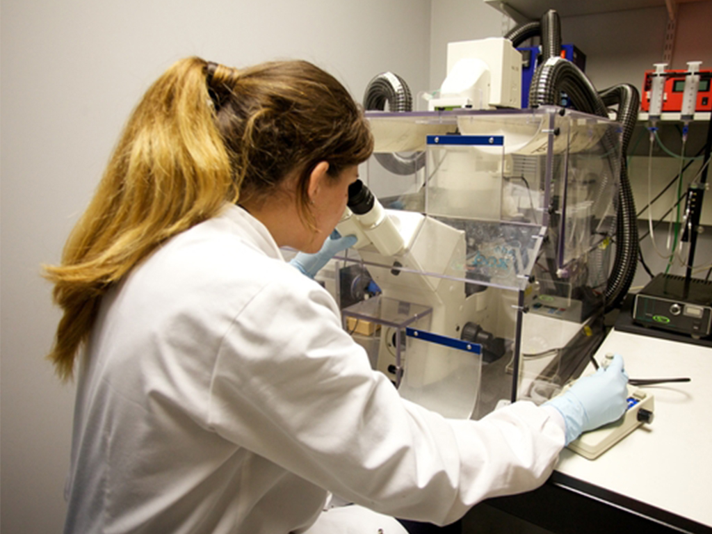 researcher in lab looking into microscope