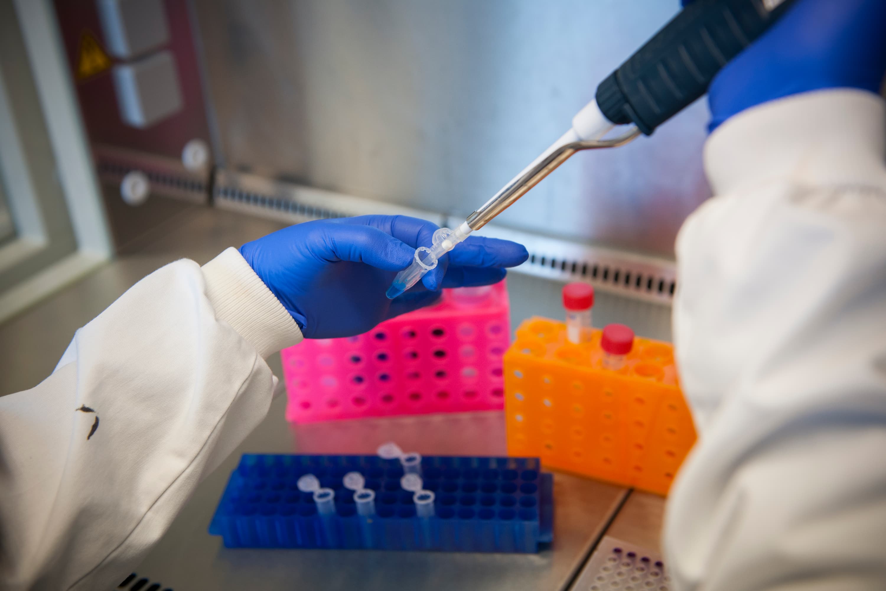 Gloved hands inserting liquid into a test tube, with colourful test tube holders behind