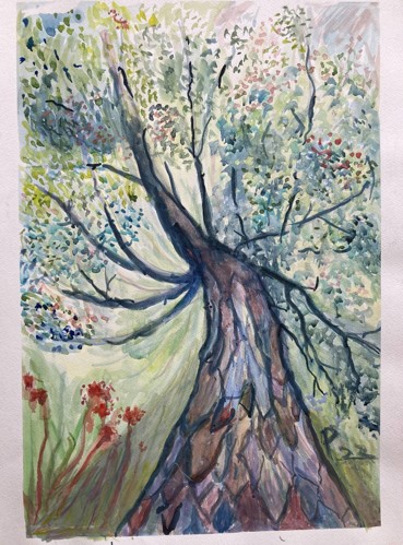 Painting of a giant tree by Peter Duxbury