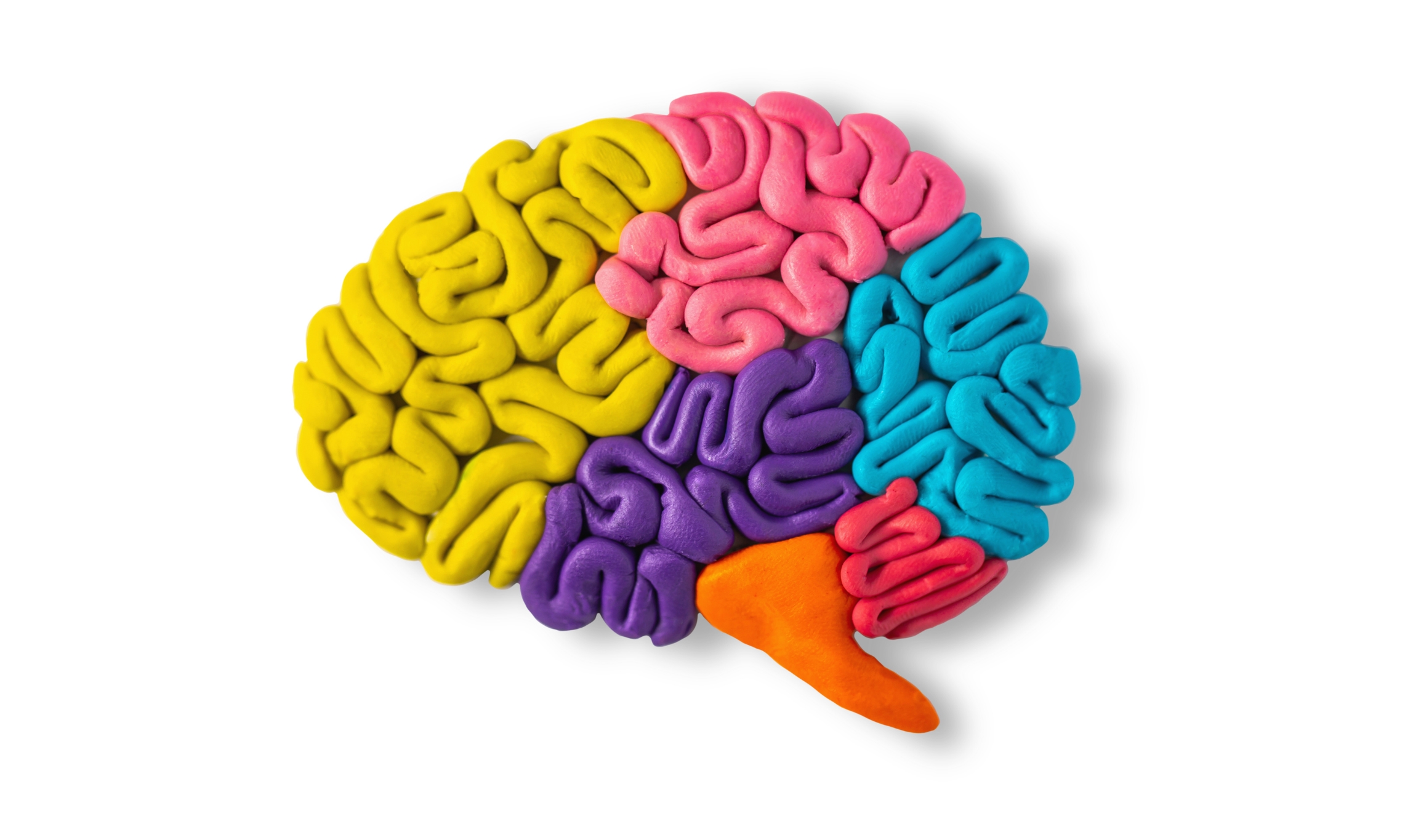 TBI brain