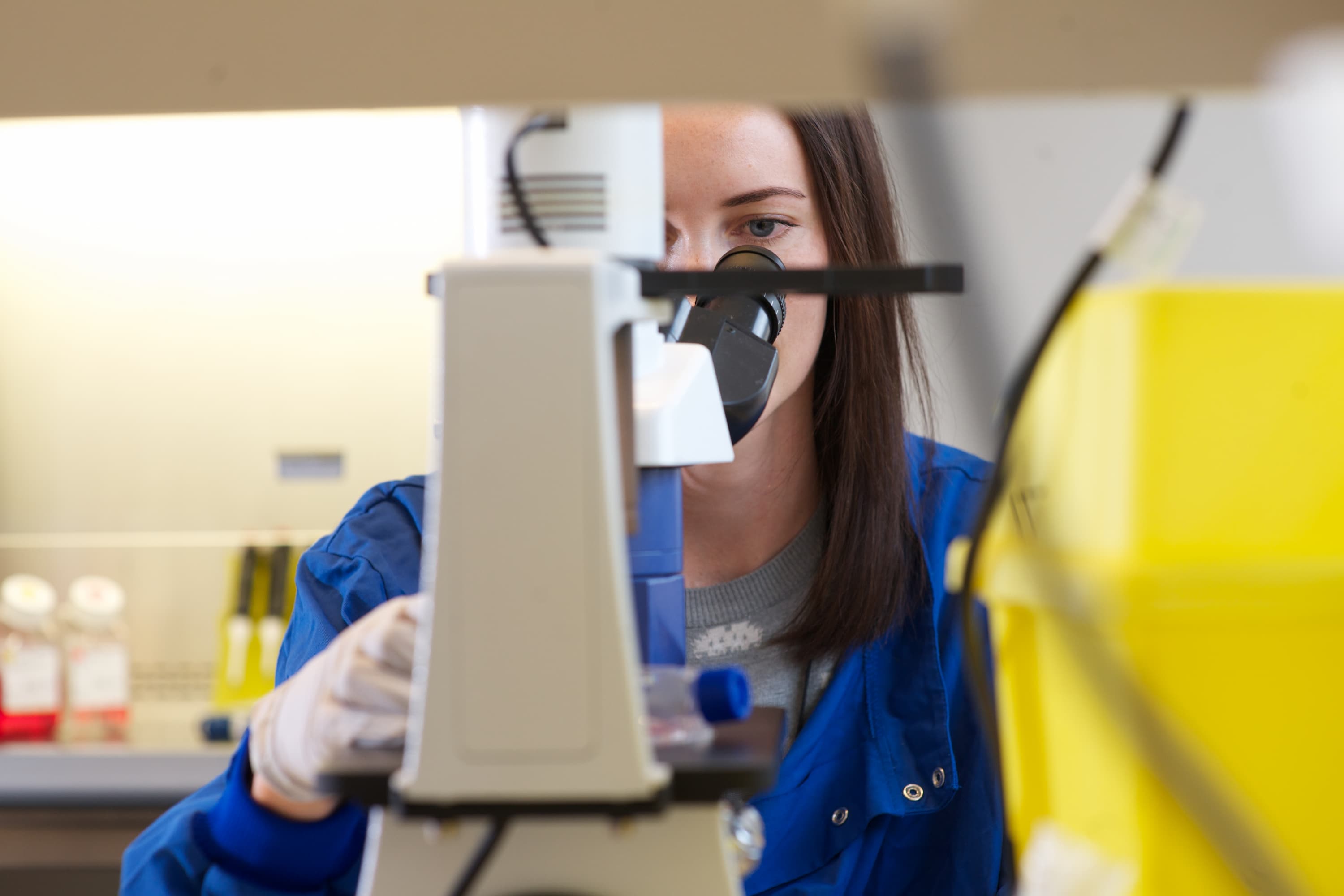 A researcher in a lab setting. She is looking through a microscope and wearing a blue lab coat.