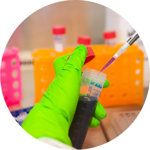 Research circle image