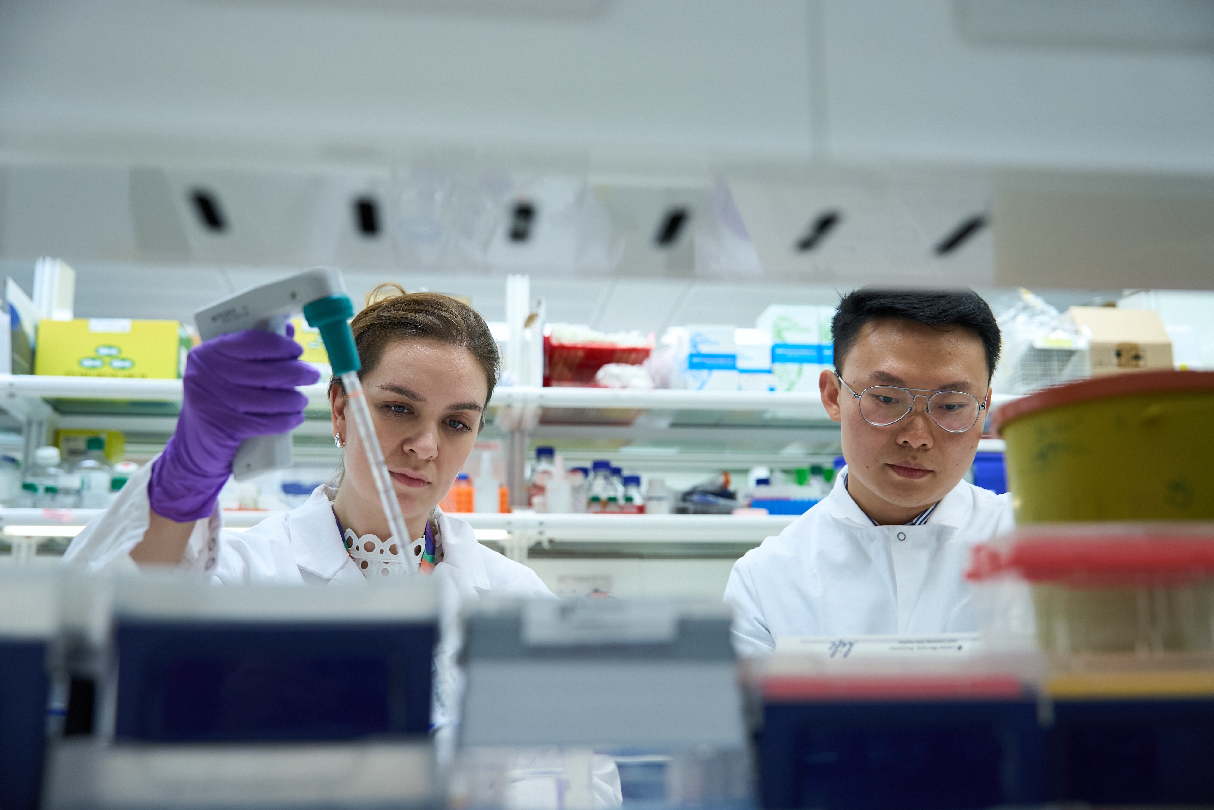 Two researchers working in a lab