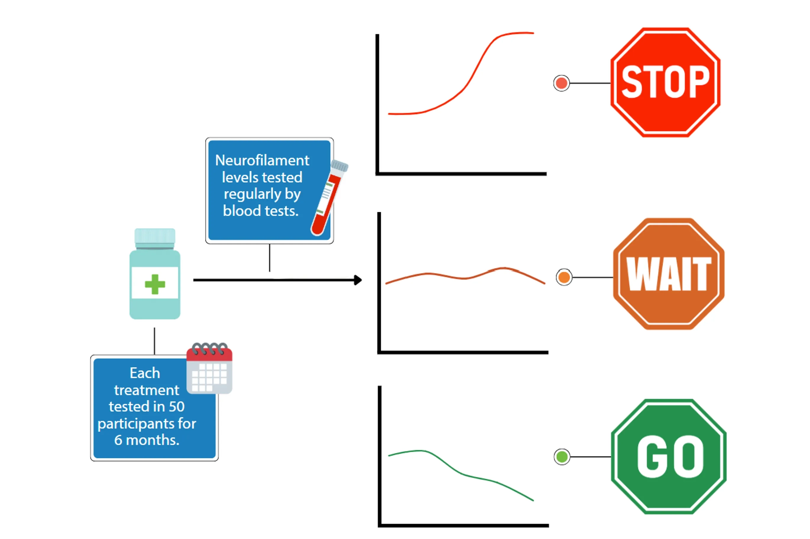 A graph of the neurofilament process