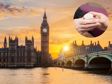 Westminster and adult social care review