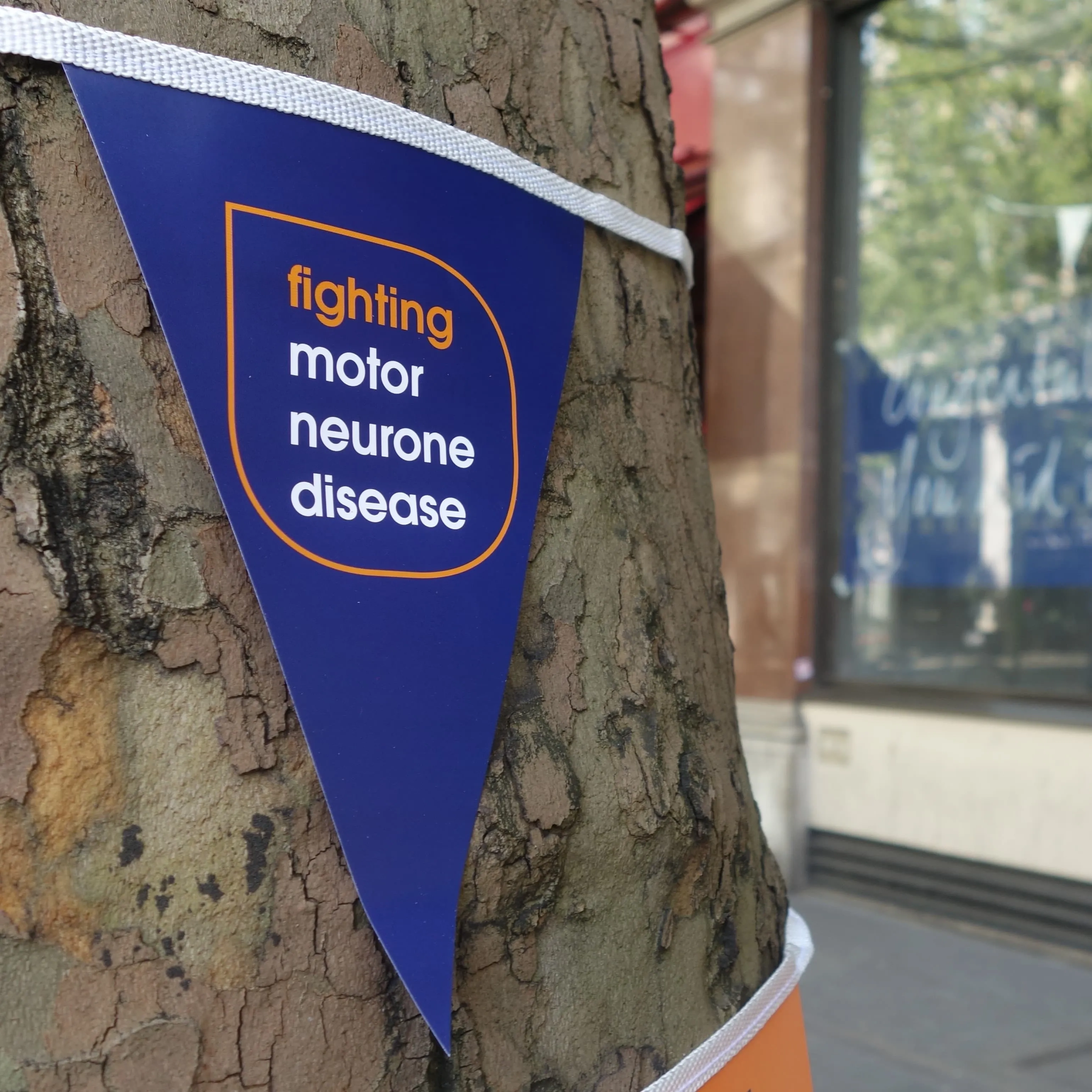 MND Association bunting wrapped around a tree.